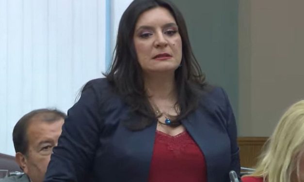 Paunović Dobričaninu: Lako je pametovati i propagirati patriotizam sa strane
