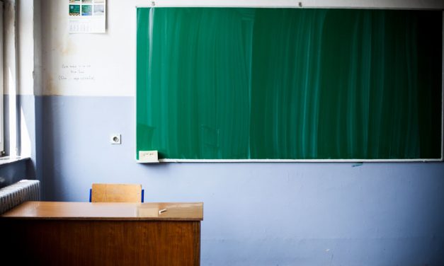 Objavljeni plan i mere podrške za povratak đaka u školu „Vladislav Ribnikar“