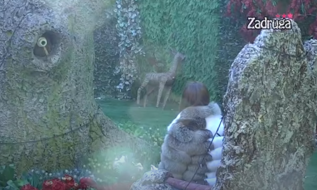 VELIKI PEH PRODUKCIJE! Čuo se PRAVI GLAS Drveta mudrosti u Zadruzi, tokom razgovora sa Anom obelodanjeno (video)