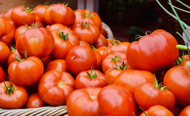 Volite paradajz? Nakon što čujete kako sve pomažu vašem zdravlju, volećete ga još više
