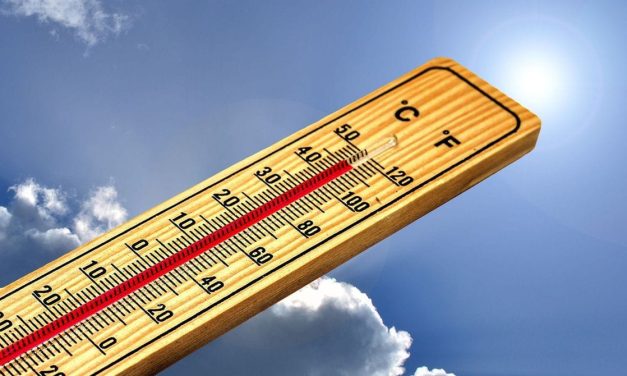 Njemačka i Austrija izdale upozorenja zbog najavljenog rasta temperature tokom vikenda
