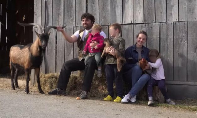 Naš glumac ujutru čuva STADO KOZA, a uveče radi u pozorištu, a evo kako je upoznao ŽENU koja mu nekada je PERSIRALA na ulici