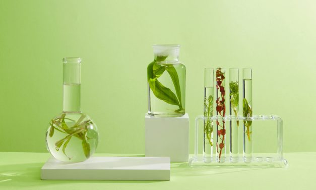 Kozmetika budućnosti: Prirodni sastojci koji brišu bore