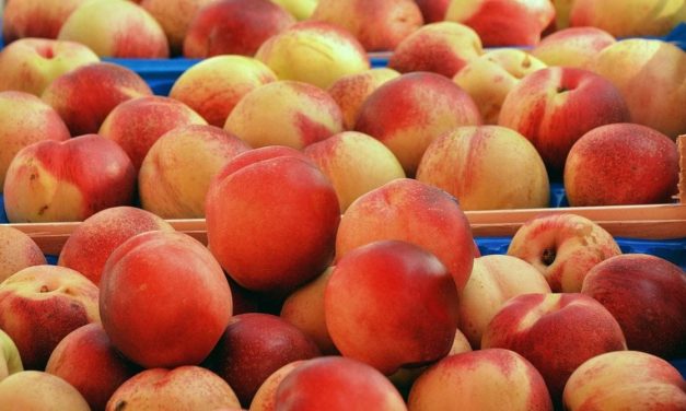 Spriječen uvoz voća sa opasnim pesticidom iz Srbije