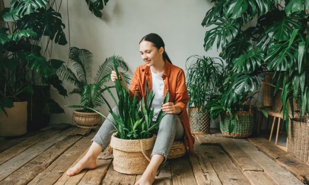 Ukrasne biljke koje štite od virusa: 3 biljke koje svima trebaju