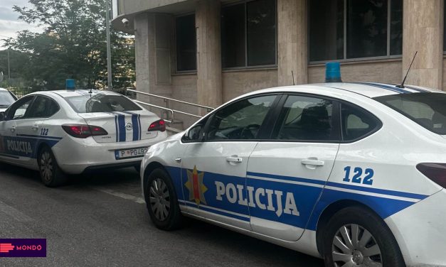 BIJELO POLJE: UBIJEN MUŠKARAC, SUMNJA SE NA BRATA!