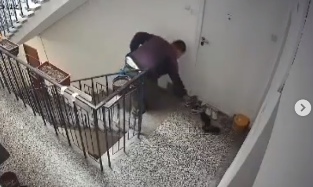 Našem pevaču dostavljač hrane UKRAO PATIKE ISPRED STANA, odmah objavio snimak i obratio se lopovu (VIDEO)