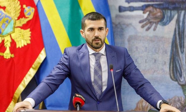 Nenezić: Sramota je cijele Crne Gore kako država tretira ‘Lavice’