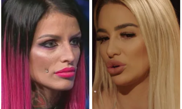 „Ako sam došla ovde nisam dužna da me j…!“ Jelena Krunić objavila šokantne glasovne poruke Aleksandre Nikolić