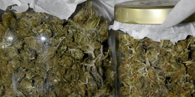 Pao dilerski dvojac iz Temerina! Novosadska policija pronašla 1,5 kilogram marihaune