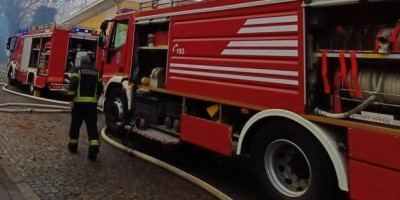 Požar u Marinkovoj bari na Dušanovcu: Vatrogasci na terenu