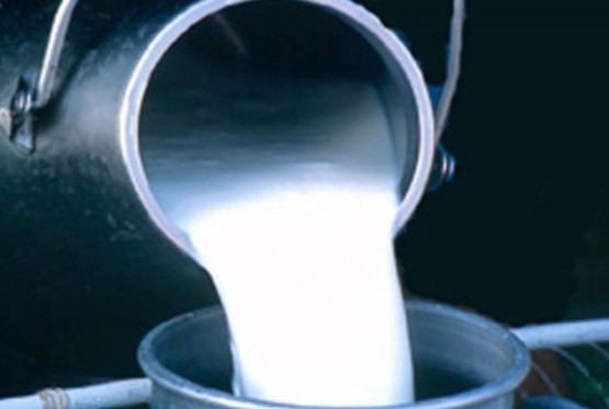 Ovi mliječni proizvodi izazivaju nadimanje i probleme sa probavom