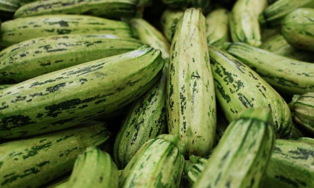 Tikvice-hranljive i zdrave: Pune vitamina A, dobre su za srce