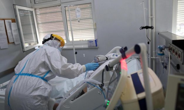 OPASNI VIRUS SVE JE BLIŽI LJUDIMA, SZO U STRAHU Ako pređe na čoveka, nastupa NOVA PANDEMIJA: Naš epidemiolog detaljno o opasnosti koja vreba