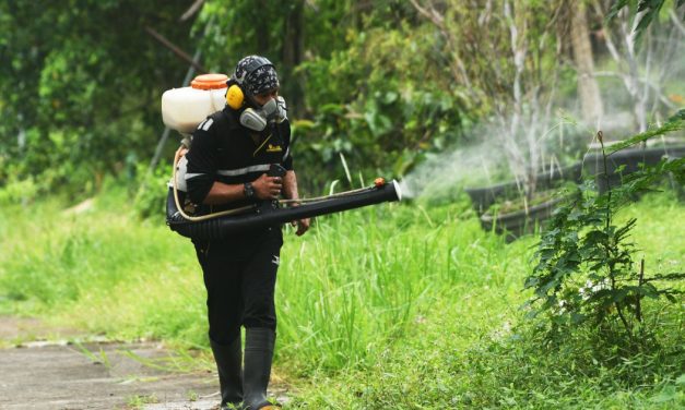 Honduras proglasio vanredno stanje zbog denga groznice: „Ušli smo u zonu epidemije, porast u celoj zemlji“
