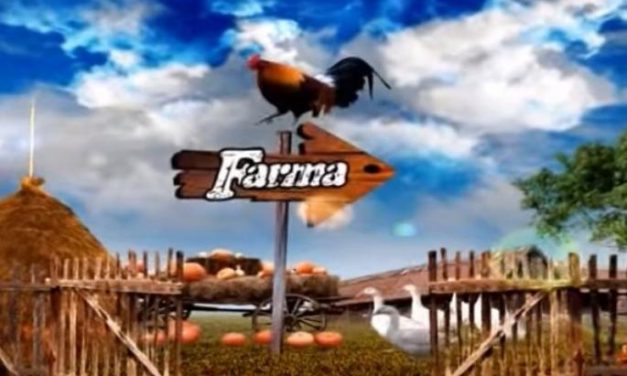 (VIDEO) OVAKO NEŠTO NISTE VIDELI Željko Mitrović pokazao kako će izgledati „Farma“: Sprema se NOVI RIJALITI