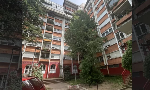 Novi detalji o svirepom ubistvu zaove Ane Pendić: „Radila je na visokoj poziciji…“