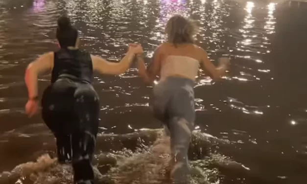 Kanalizacija se izlila, a bivša zadrugarka uskočila u vodu! (Video)